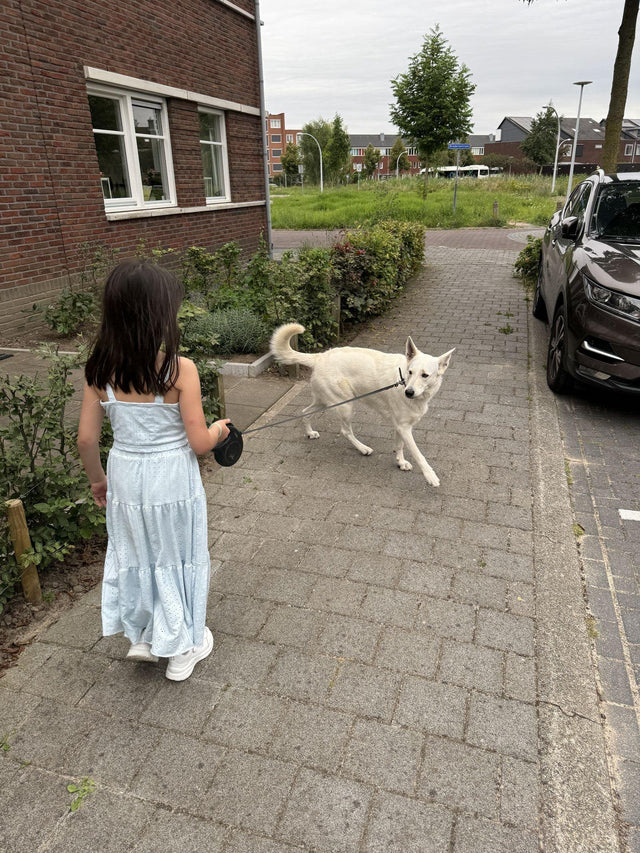 Rollijnen en accessoires