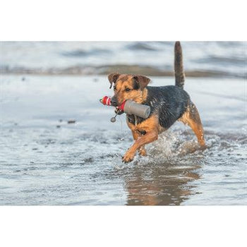 Waterspeelgoed voor honden