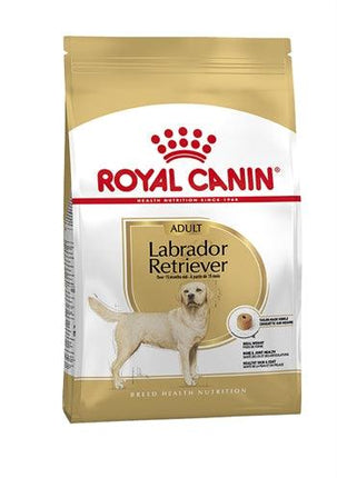 Royal Canin Labrador Retriever Adult