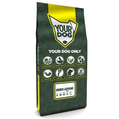 Yourdog Berner Laufhund Senior