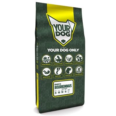 Yourdog Braque Du Bourbonnais Volwassen