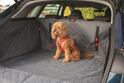 Kong Autogordel Hond Cargo Swivel