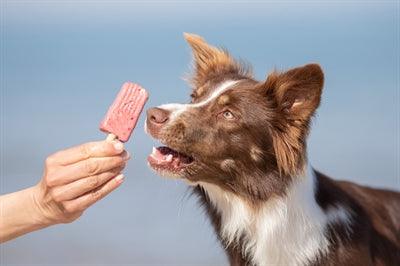 Trixie Ice Pop Groen